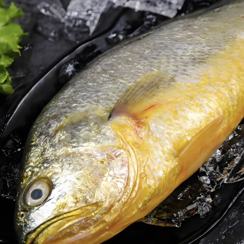 精选深海新鲜大黄鱼蒜瓣肉鲜美多汁鱼肉细腻清蒸红烧冷链冰鲜发货