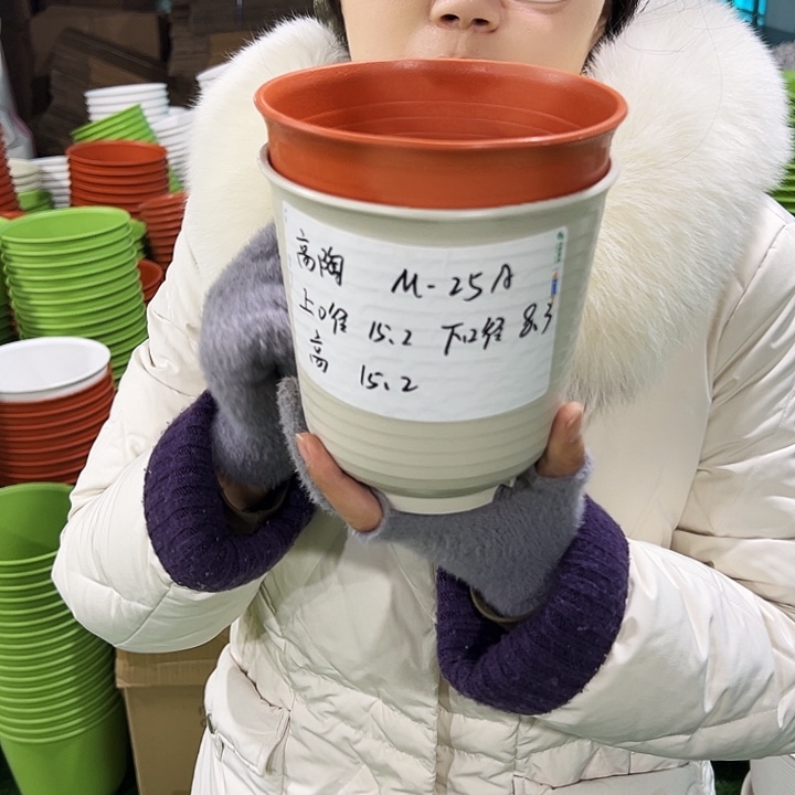 正品高陶口15高15白色无托8只