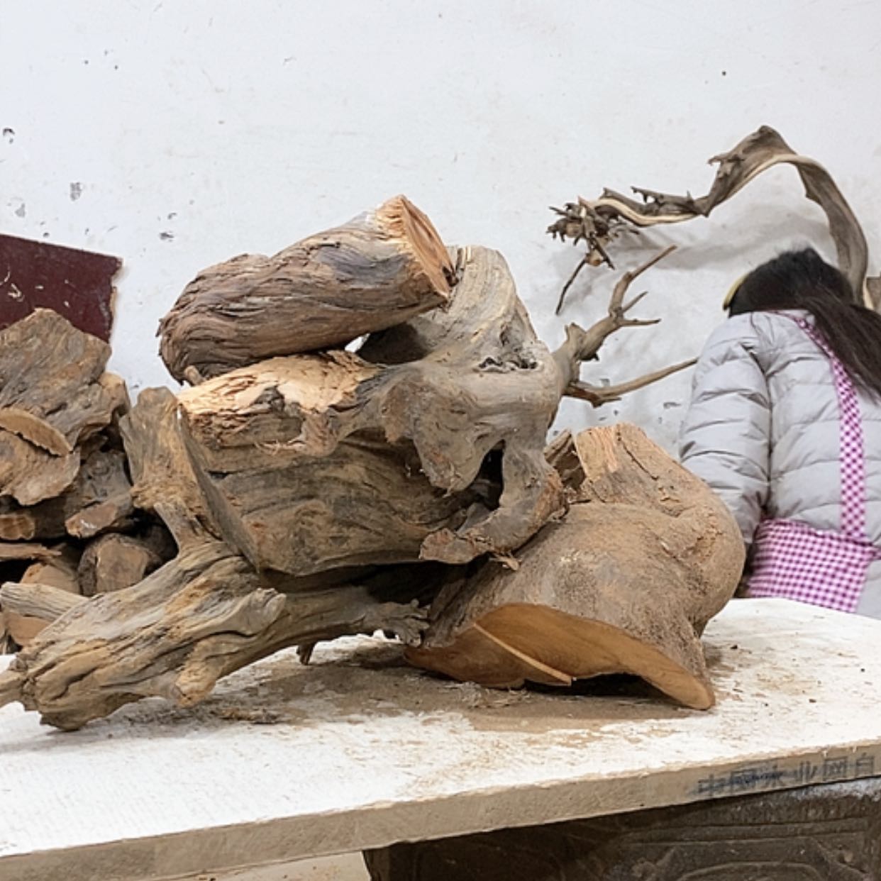 【闪购商品】柏木忆*我们都是好孩子