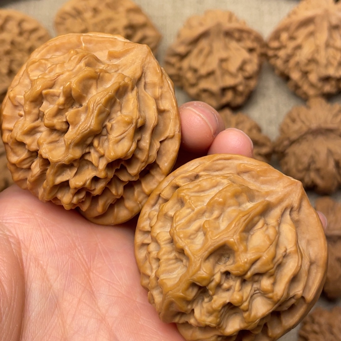 核桃秦岭野生核桃3号