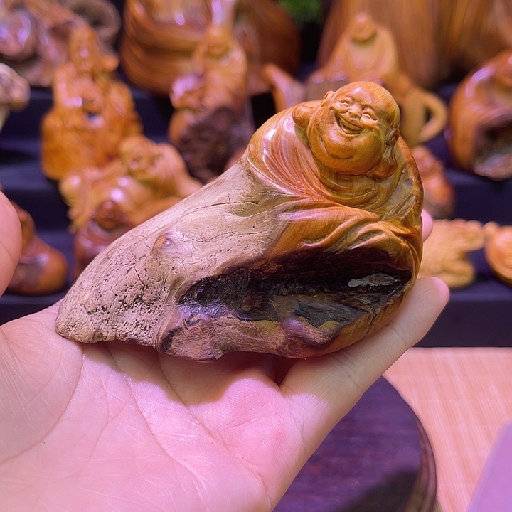 海***蓝柏木（崖柏）88888888888888888