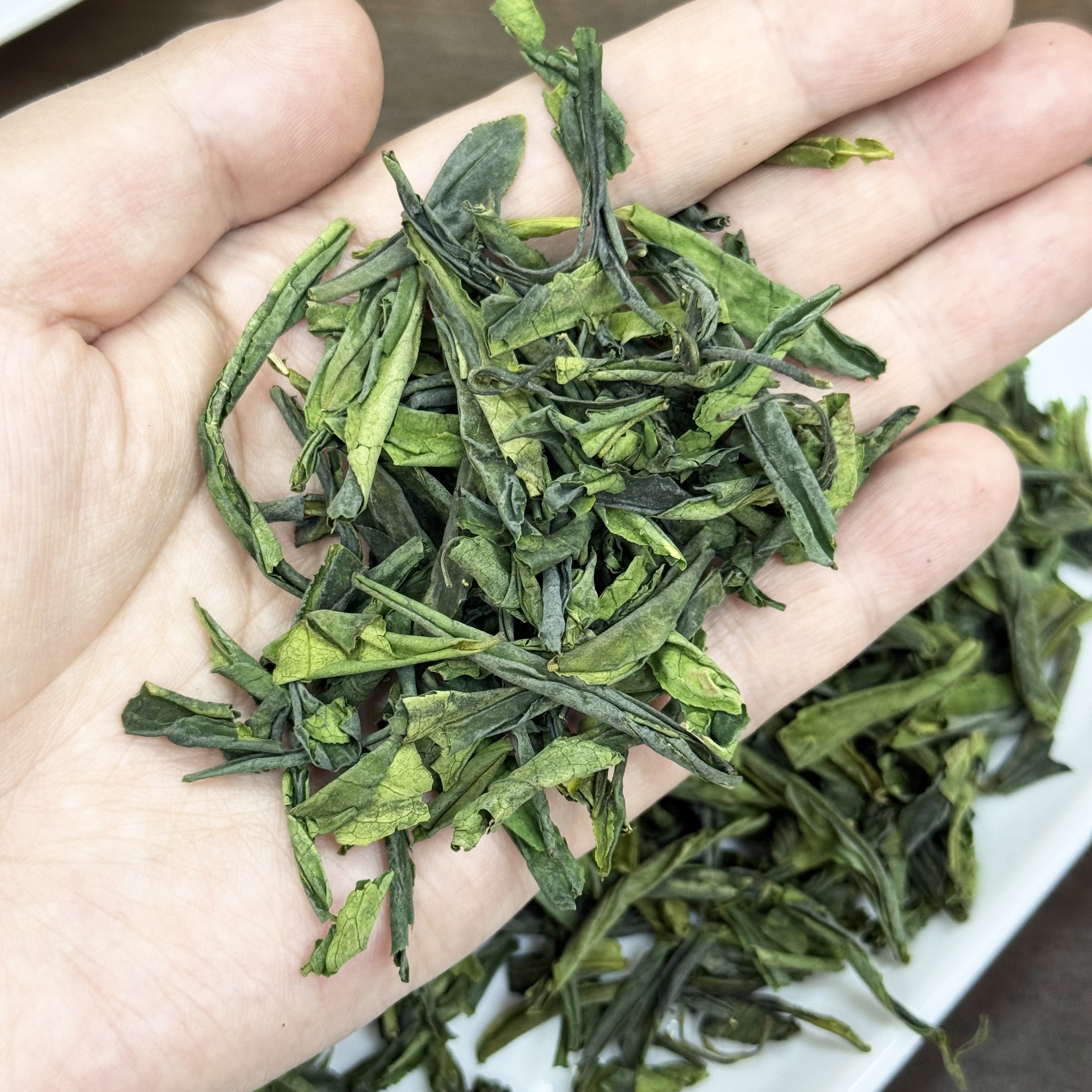 2025年新茶六安瓜片春茶栗香带花香 叶偏壮 口感清爽 不是重口味 