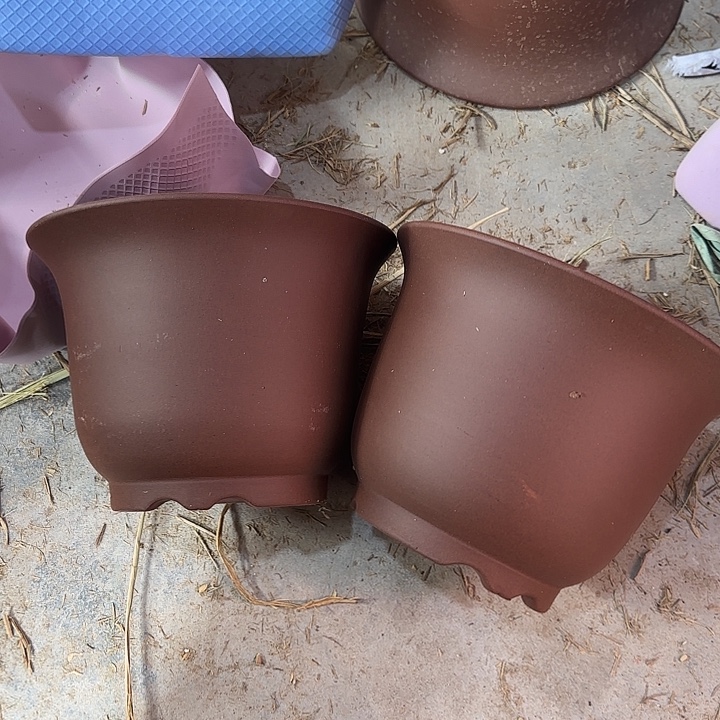 20×15两只福利价     