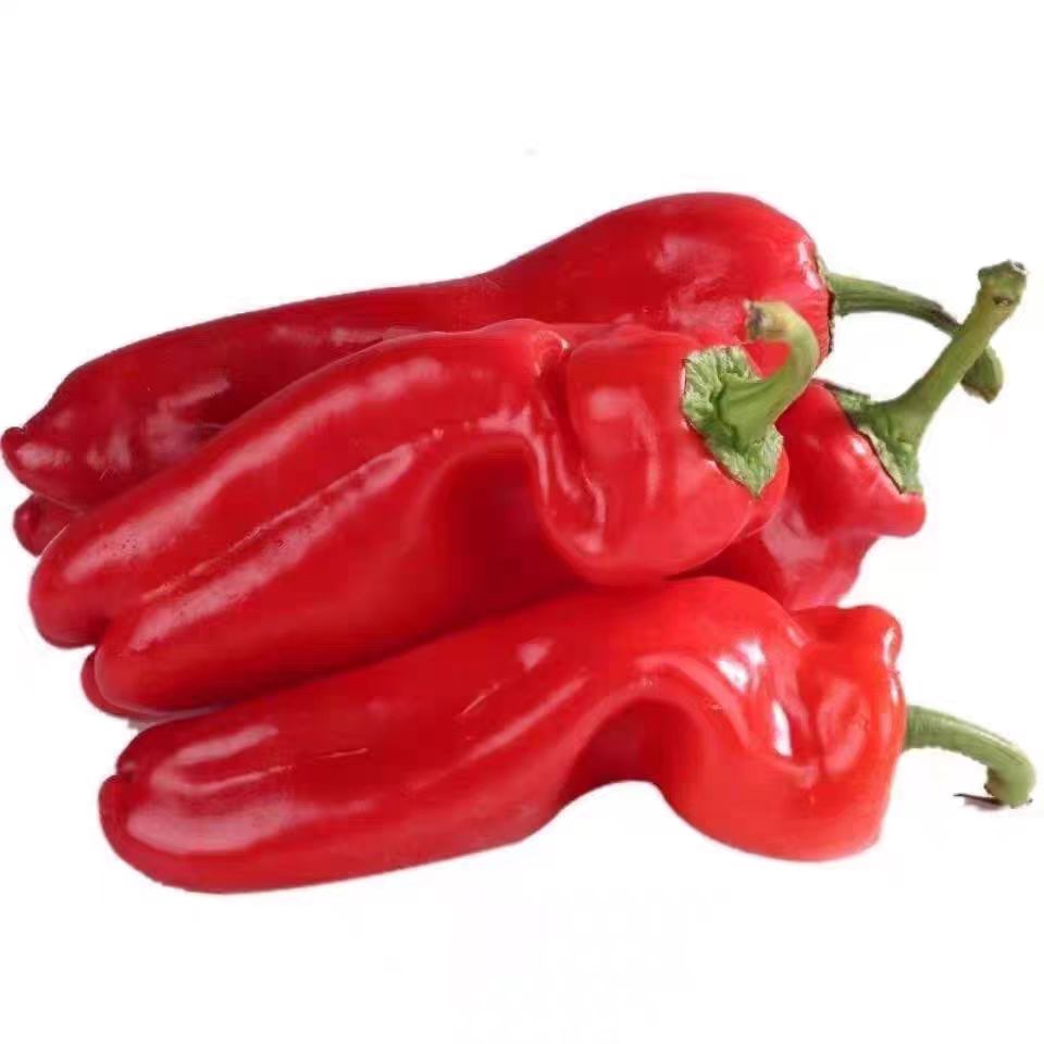 大红椒 约300g 辣椒辣椒同城配