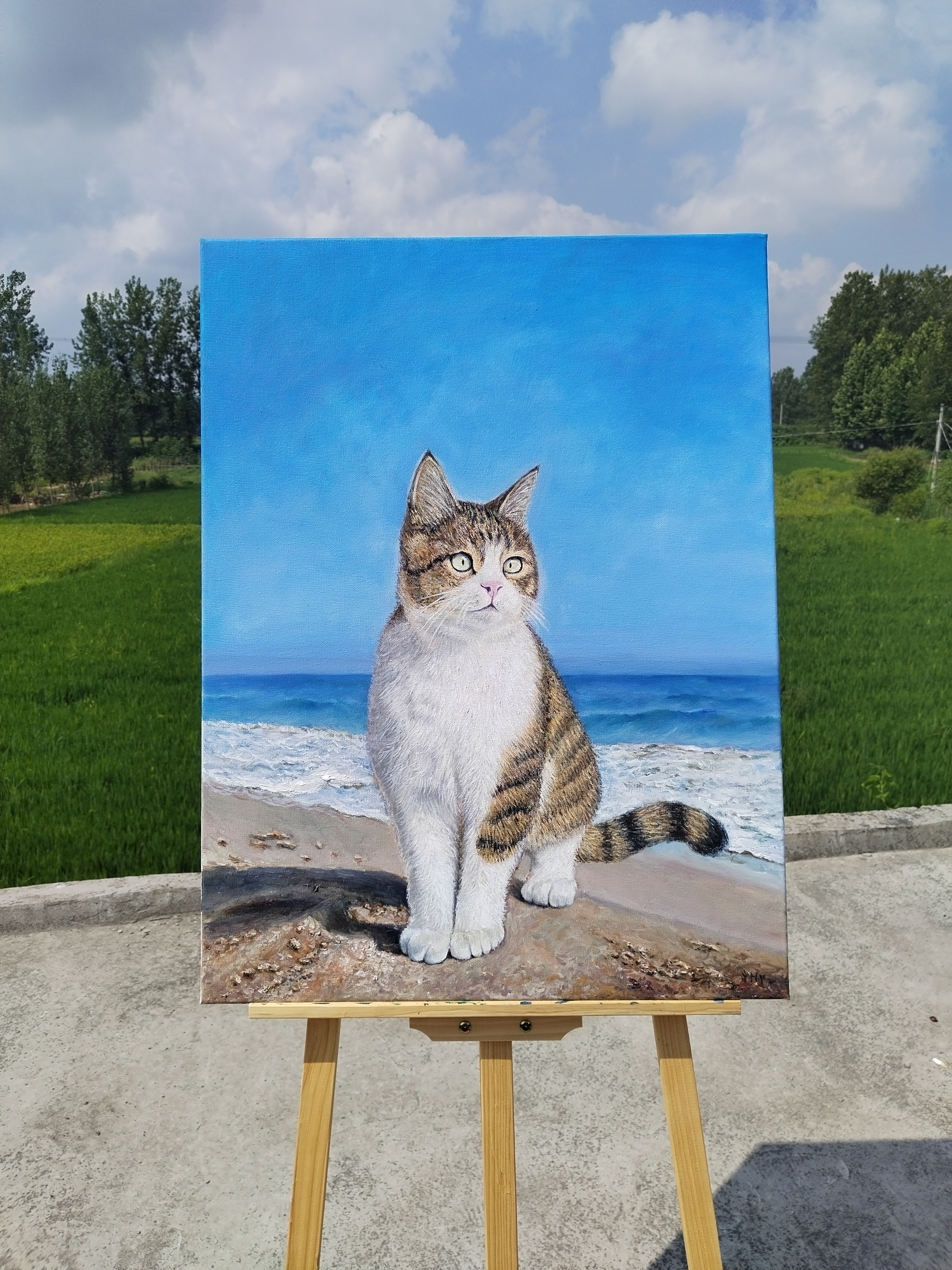 画一只见过世面的小猫--悟空小猫，油画