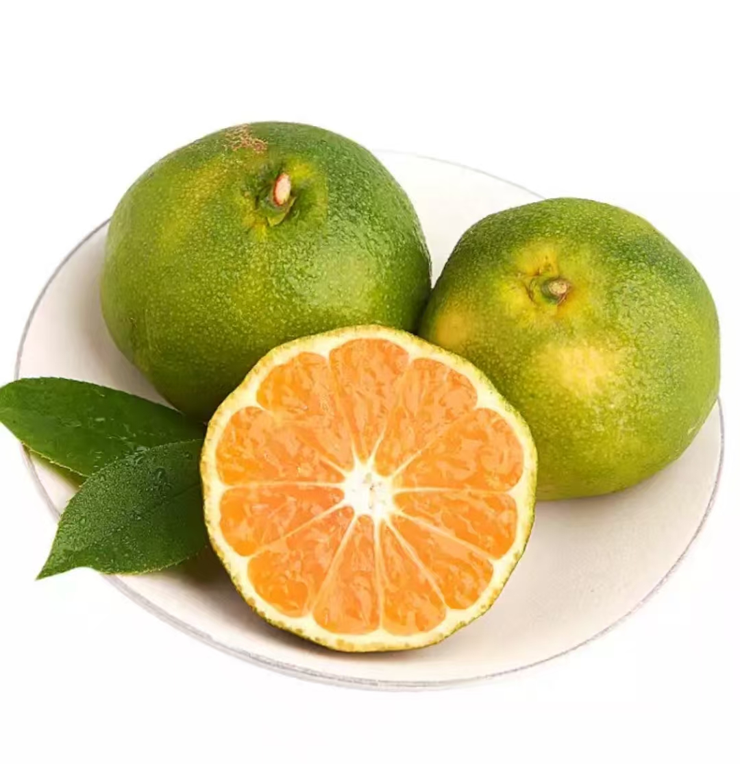 四川眉山柑橘之乡青皮蜜橘无籽应季酸甜爽口网红送礼水果