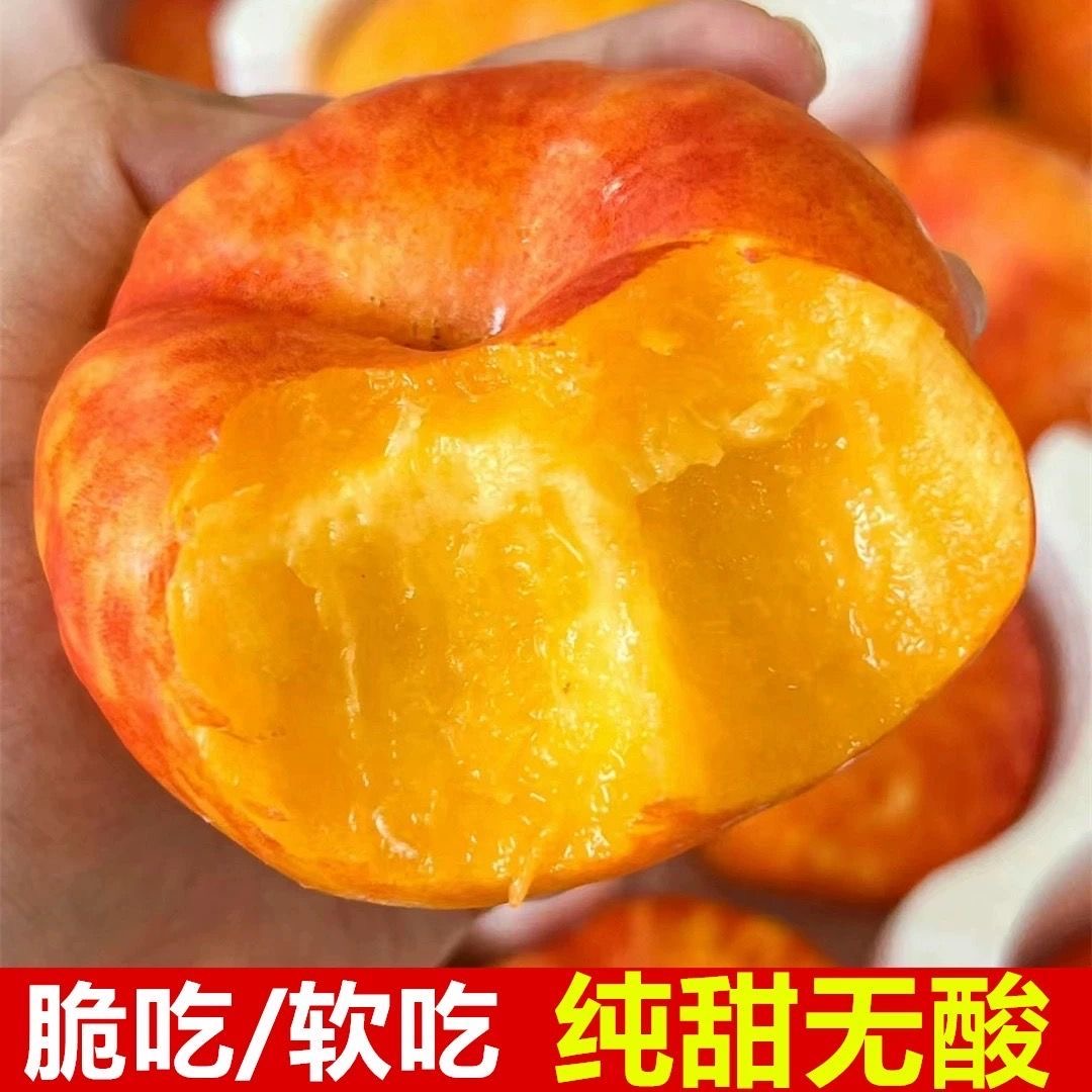 【蒙阴、彩虹油蟠桃】爆甜爆汁软硬两吃果园现摘现发