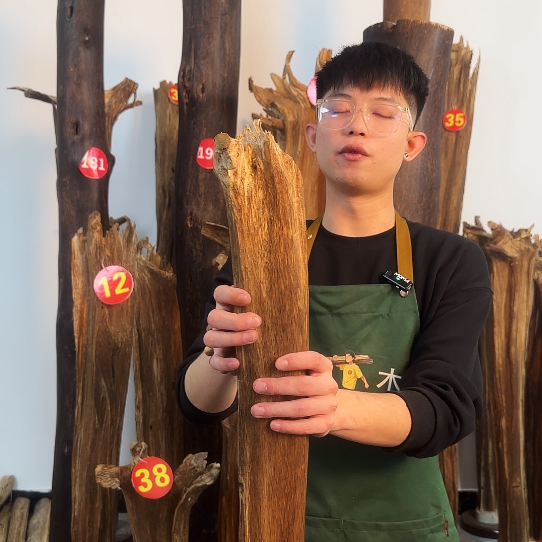 沉香摆件天然沉香原木摆件➕底座