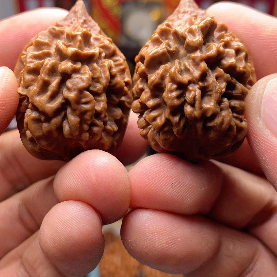 文玩核桃把件东北楸子文玩核桃