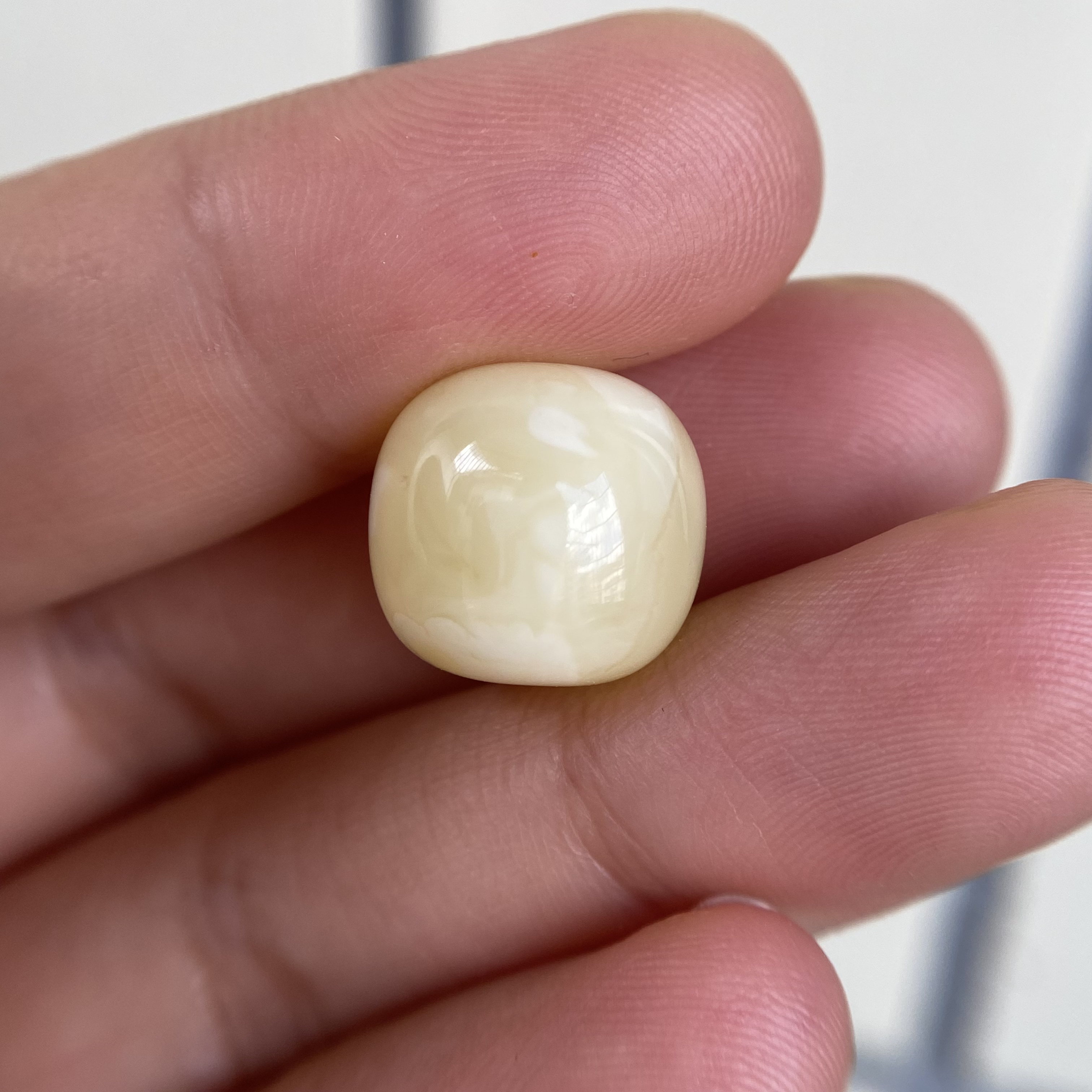 蜜蜡奶黄白老型配饰13.6×12.8mm，丁点植物点忽落不计，挺润