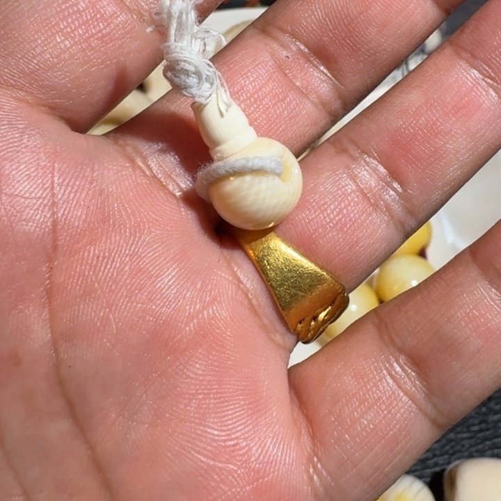 郭***头菩提根/象牙果吊坠