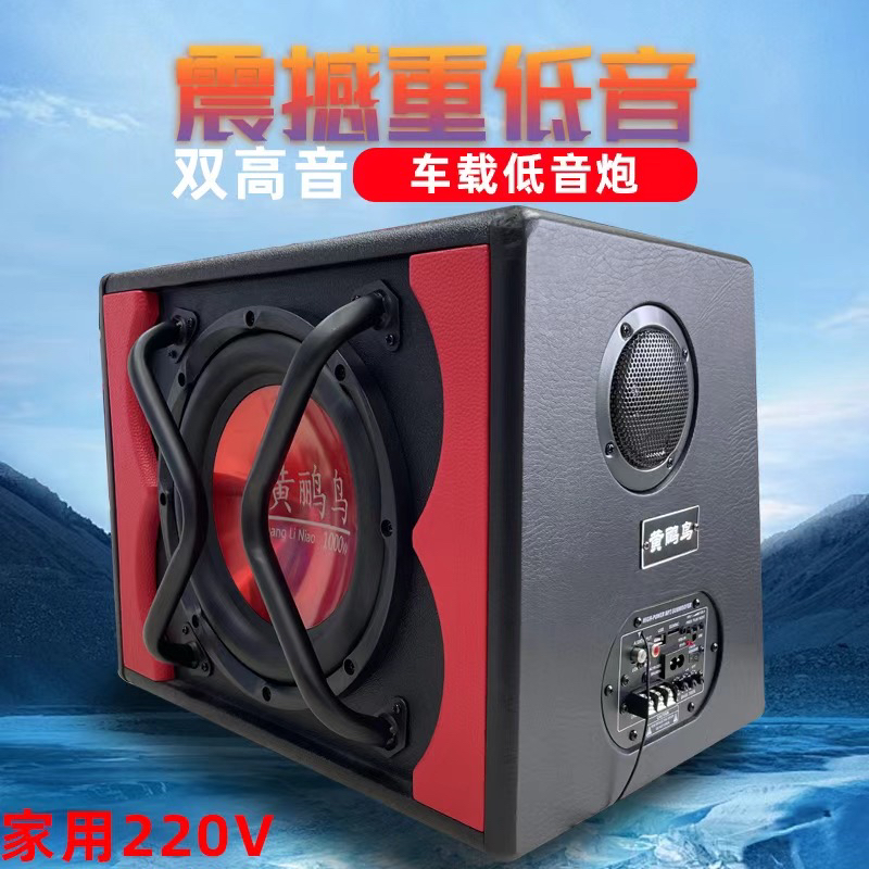 10寸车载专业12v24v220v超重低炮蓝牙汽车改装音大功率尾箱低音炮