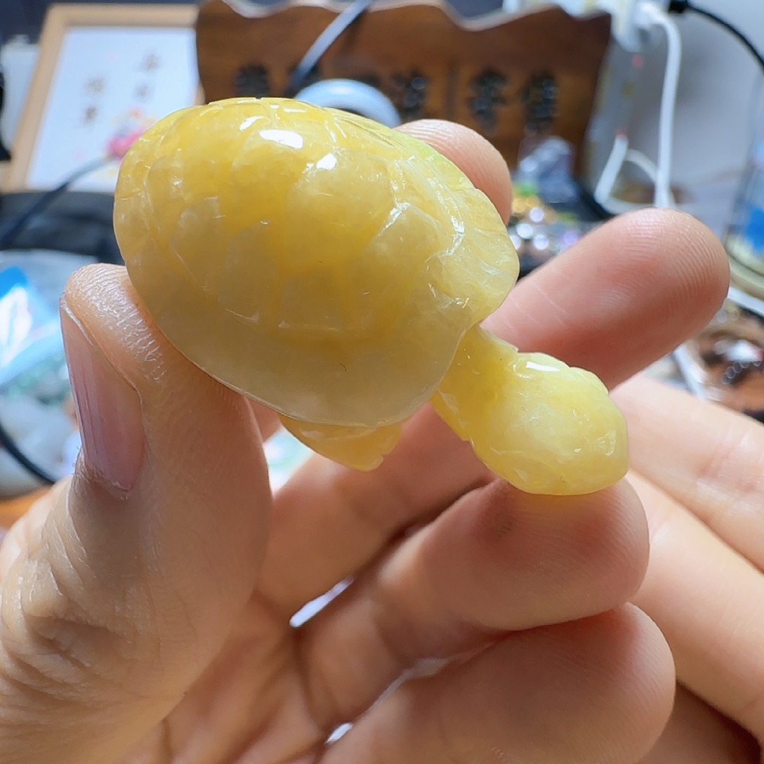 翡翠未镶嵌手镯翡翠100