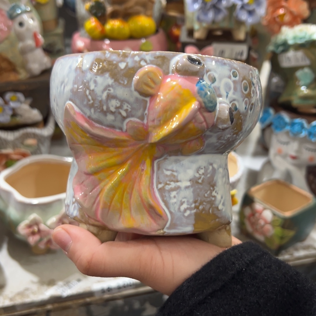 花盆，拍满20发货，退款拉黑