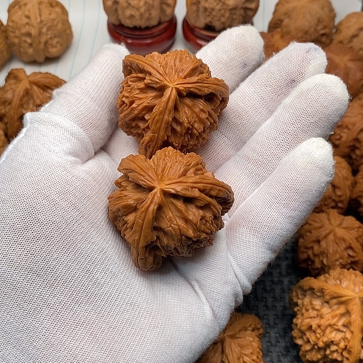 敬***磊手串/手链核桃拼接白狮16