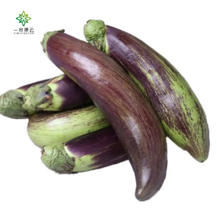 云南直发面包冰川茄子约0.9-1斤/份（面包茄子）