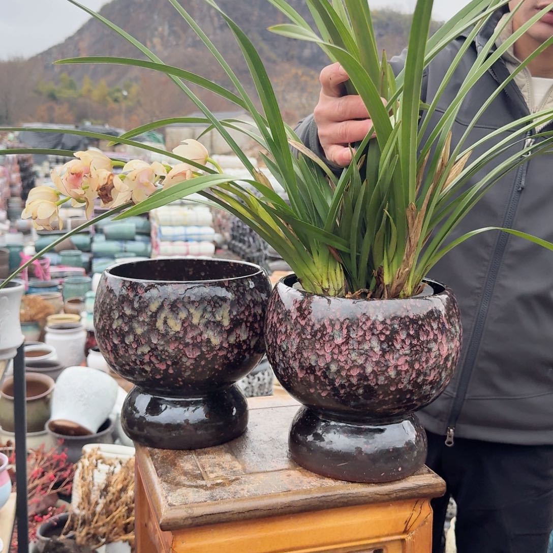 紫砂花盆紫球两个口18高19