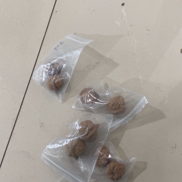 吊坠文玩核桃古婵瑕疵