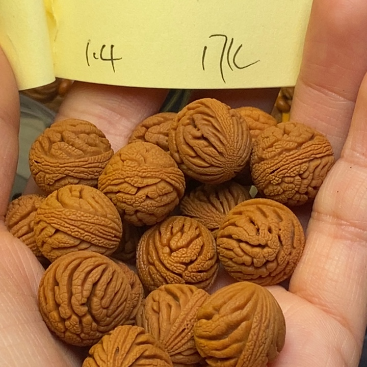 吊坠桃核秦岭龙纹桃核14尺寸