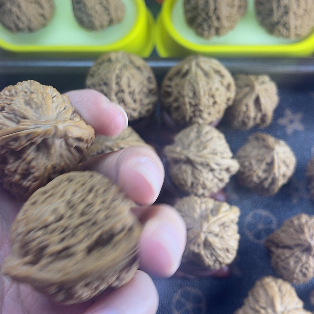 大叶紫檀（黑酸枝木类）