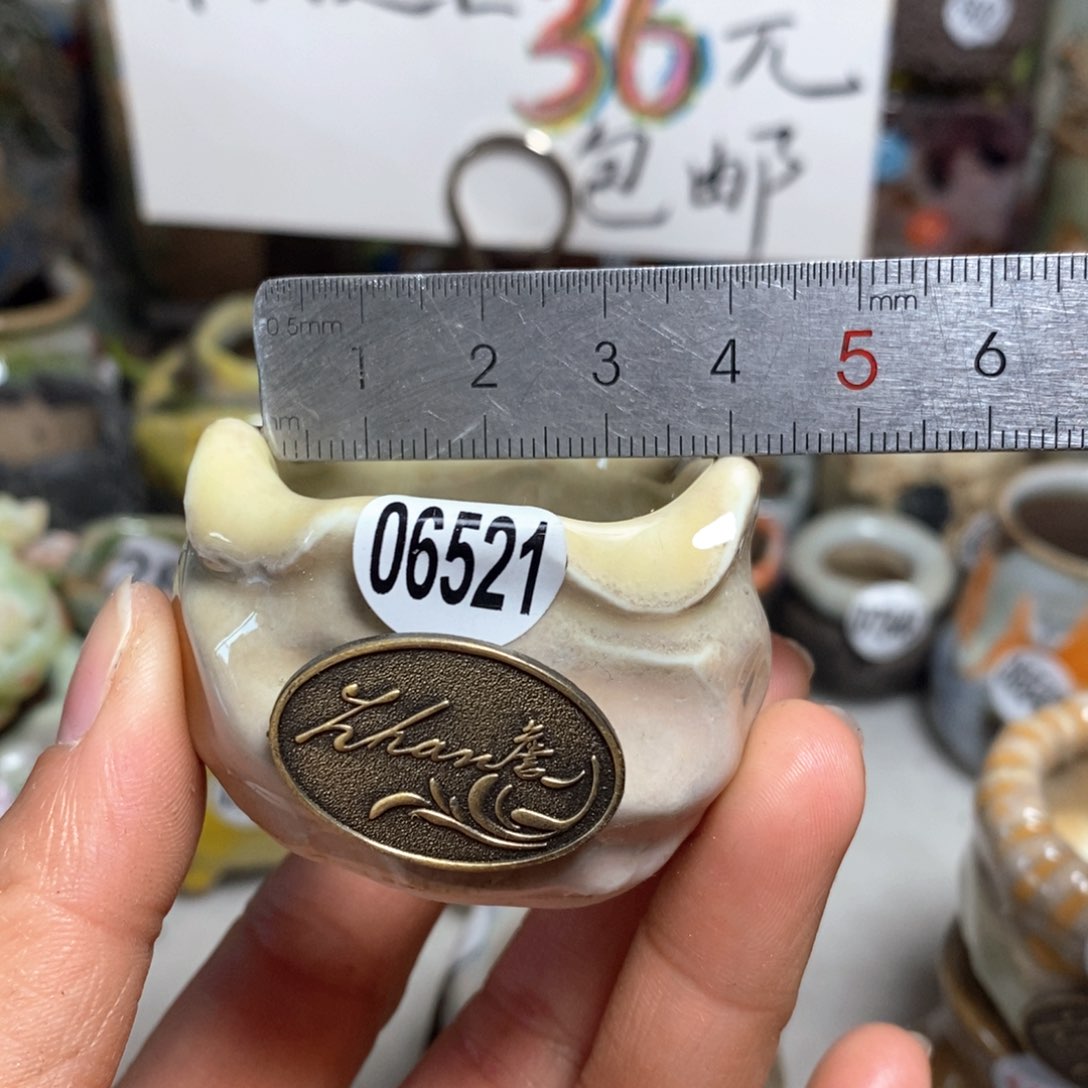 花盆拍5送一个小礼物