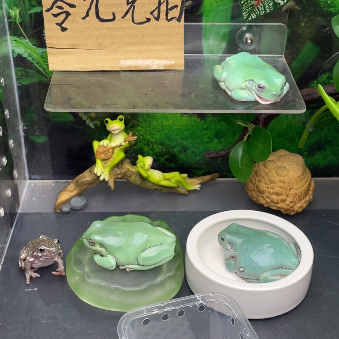 *****老爷树蛙1号加热包