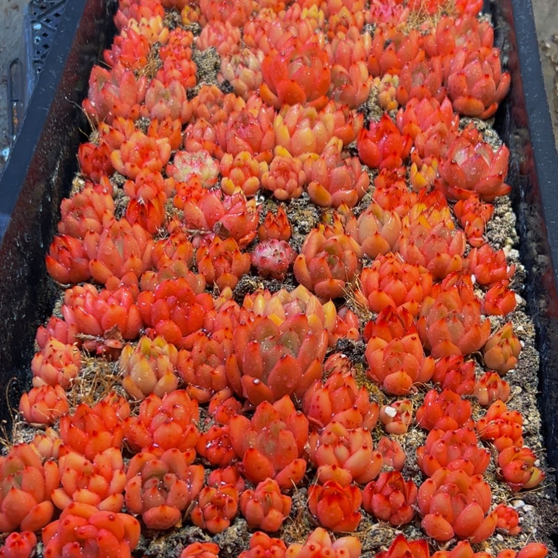 309的人在我这都不认识你啊