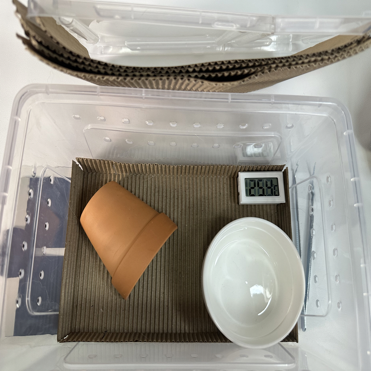 宠物蛇饲养盒套餐中号