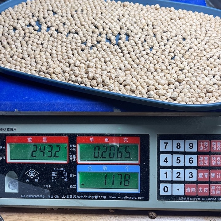 胡***蛋柏香籽/百香籽吊坠100克H8005