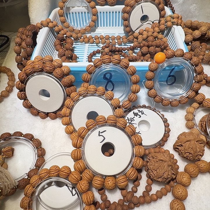 杨***险手串手串手串手手