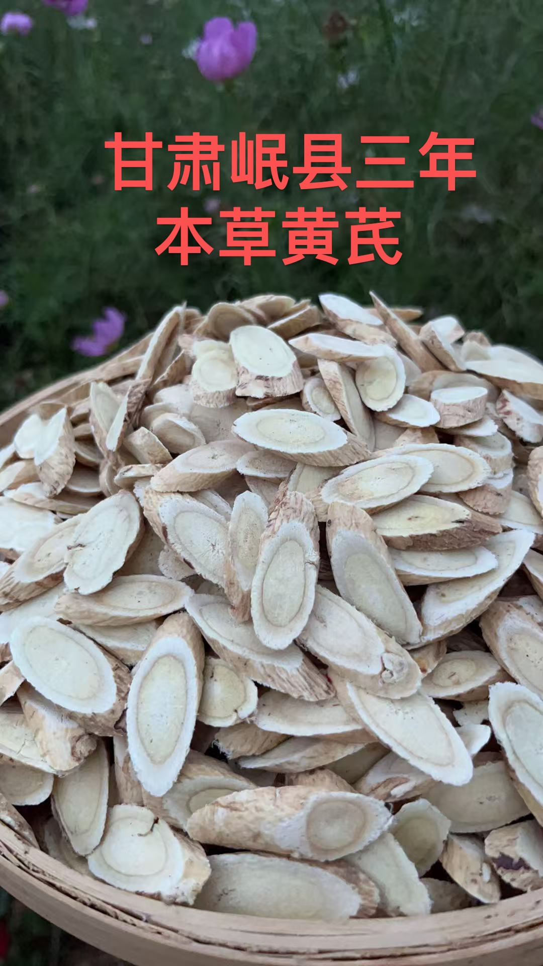 黄芪甘肃岷县正宗老黄芪大片新货可泡水煲汤煮粥食用