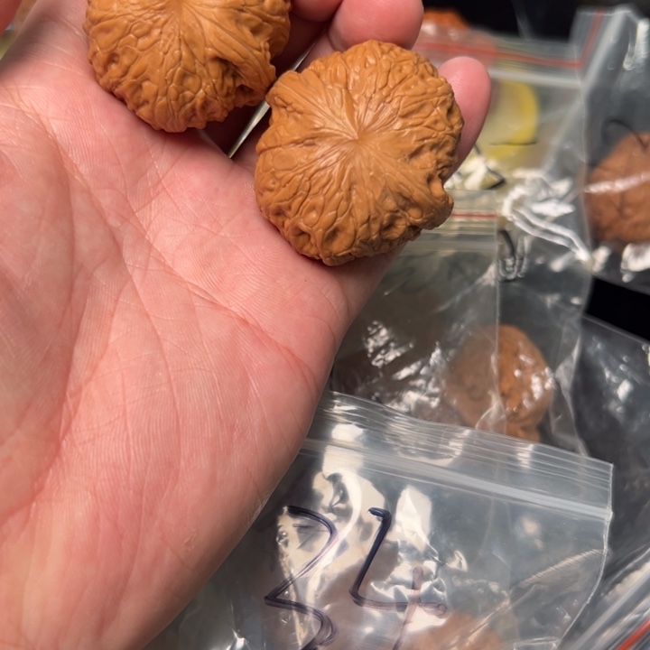 核桃铁锤，40，已打底