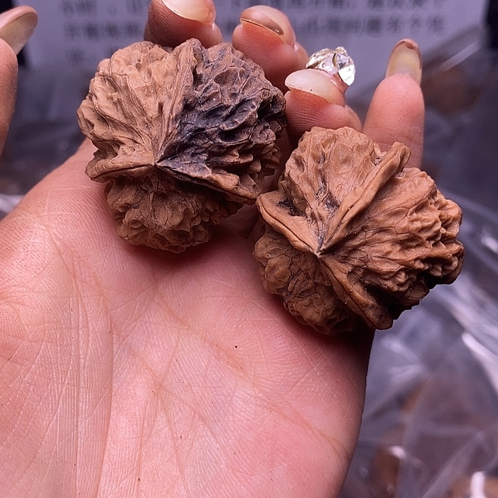 核桃云南野生铁核桃81号35mm