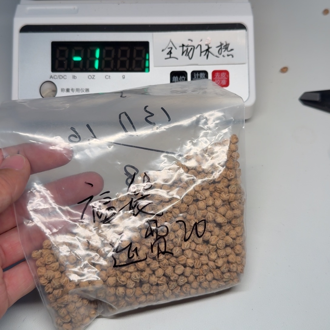 河***籽柏香籽/百香籽吊坠