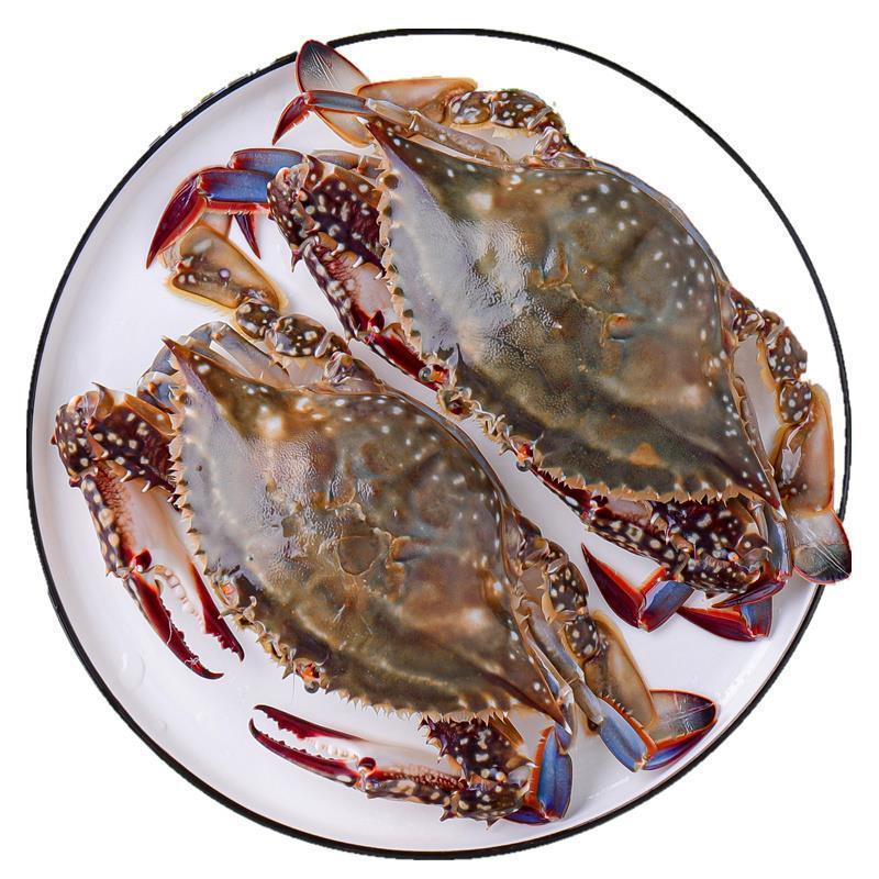 鲜活梭子蟹一只3-5两，一斤3-4只【保鲜不保活】