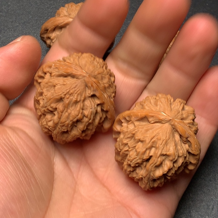 把件文玩核桃38白狮子800