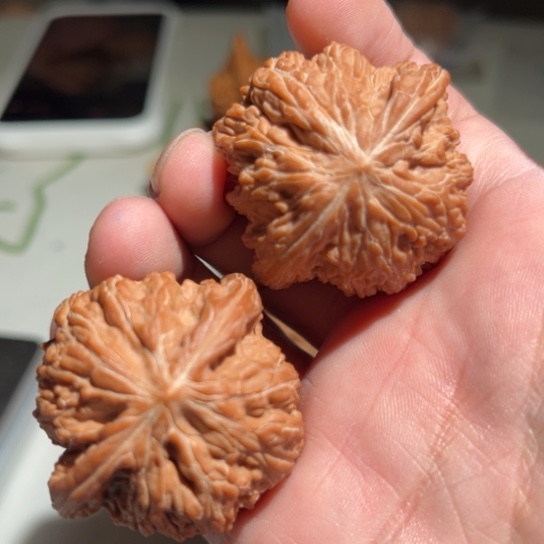 文玩核桃吊坠磨盘