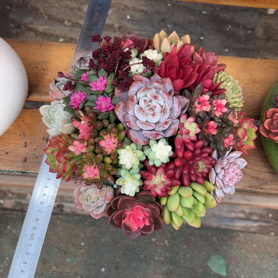 聚宝盆花园组合花园