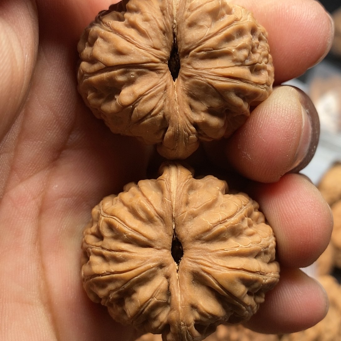 文玩核桃把件丁*国元宝39