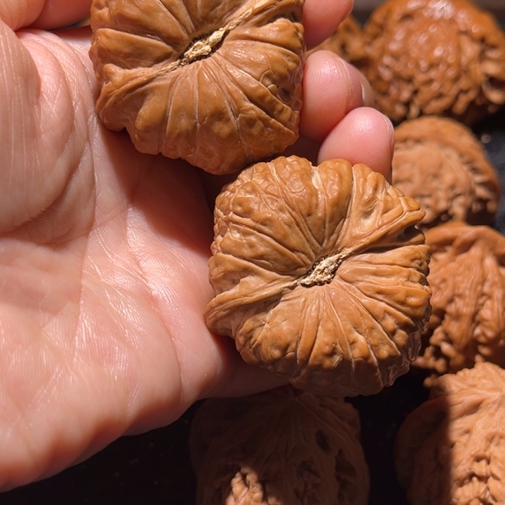 龙脊菩提吊坠南瓜墩