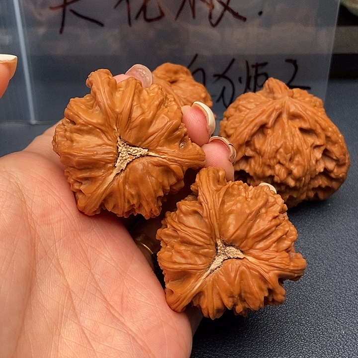 焦***击大叶紫檀（黑酸枝木类）白狮子