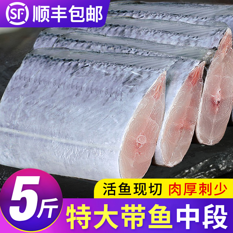 大号带鱼段去头去尾一斤9-10段 新鲜现切急冻锁鲜500g/包*5包