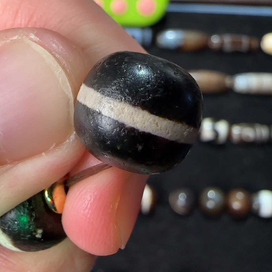 磁石秘书专属zzzzzzzzzzzzz