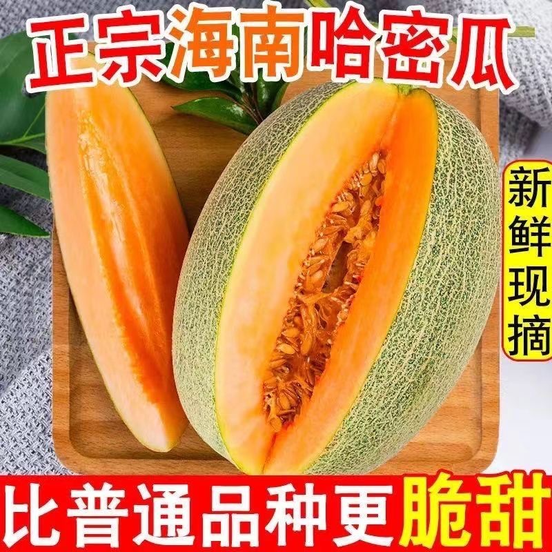 正宗海南哈密瓜西州蜜新鲜脆甜网纹甜瓜当季现摘水果