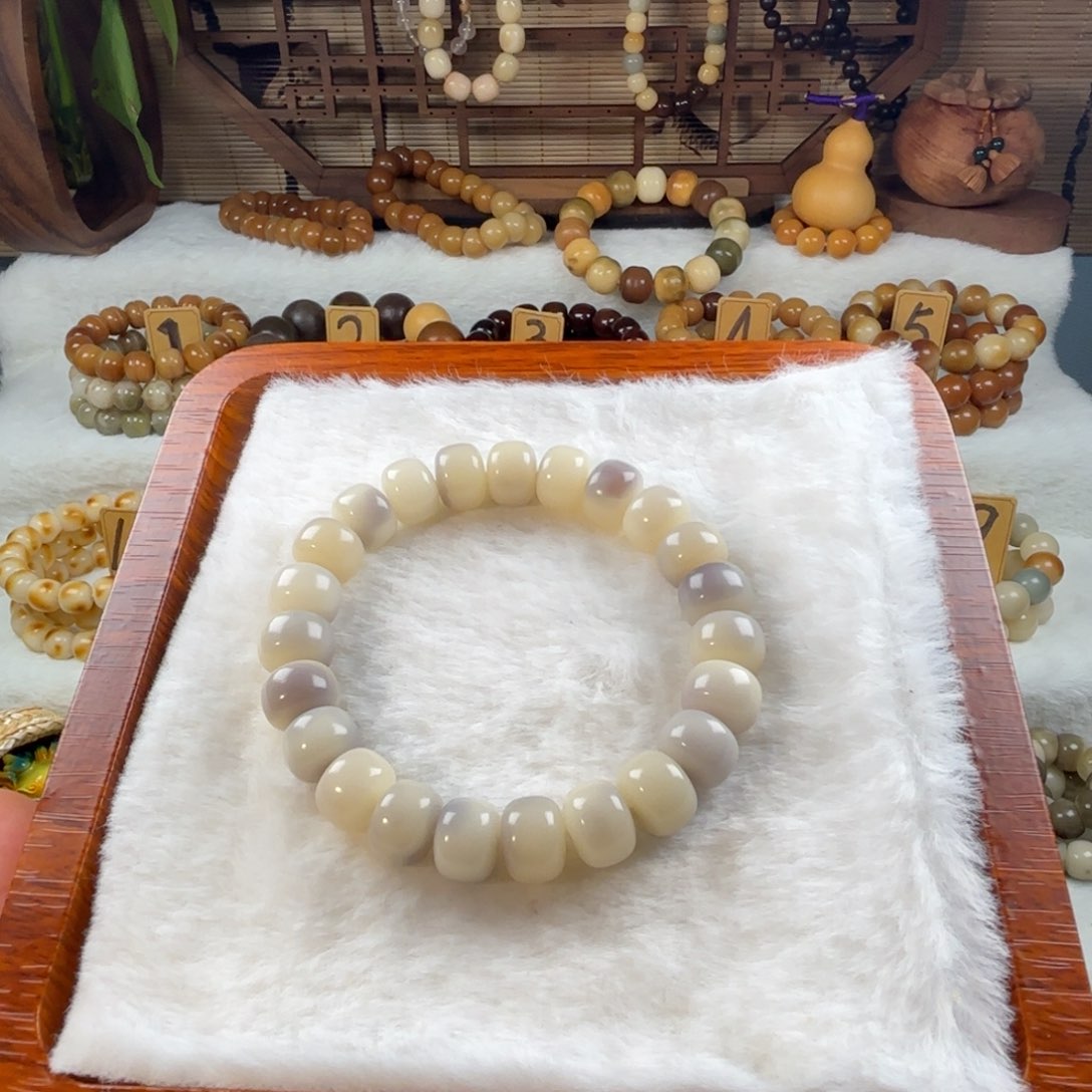 菩提根/象牙果手串飘浅紫色药片