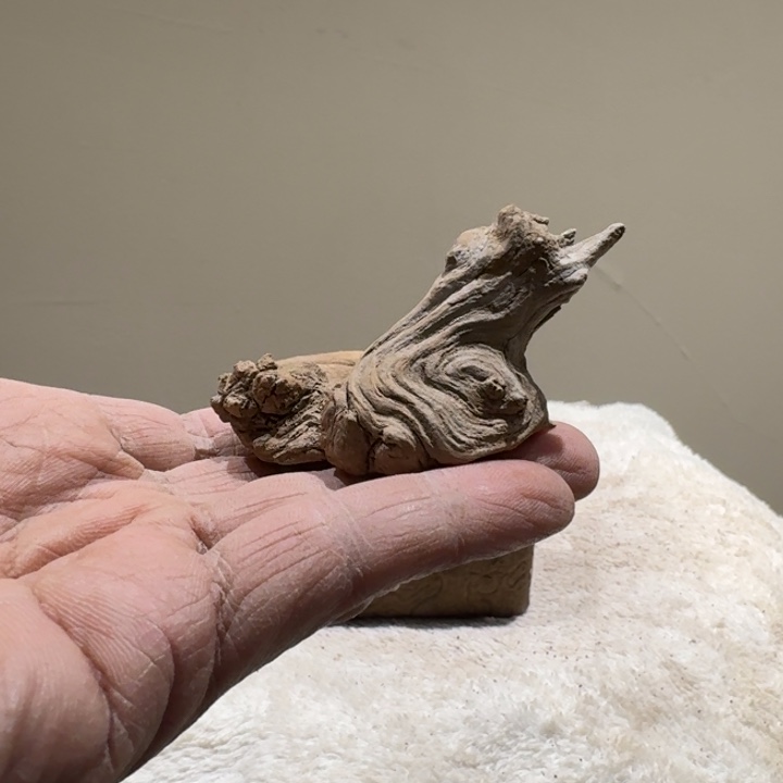 K***r香榧木崖柏啊啊啊啊