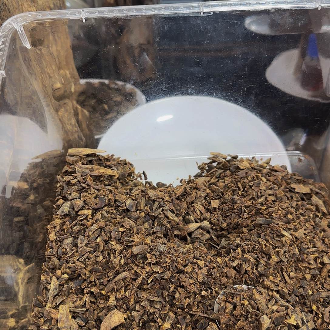 沉香沉香碎屑精品沉水树丁醇化碎料50克