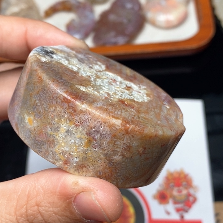 硅化珊瑚（珊瑚玉）手镯未镶嵌