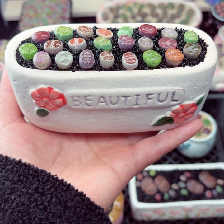 120零下地区记得拍保温箱