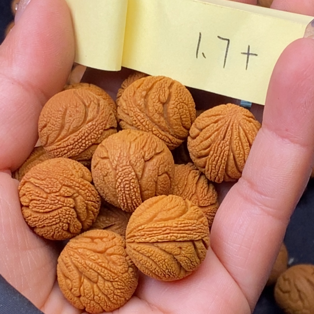 秦岭龙纹桃核14颗